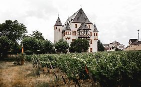 Schloss Schoenborn